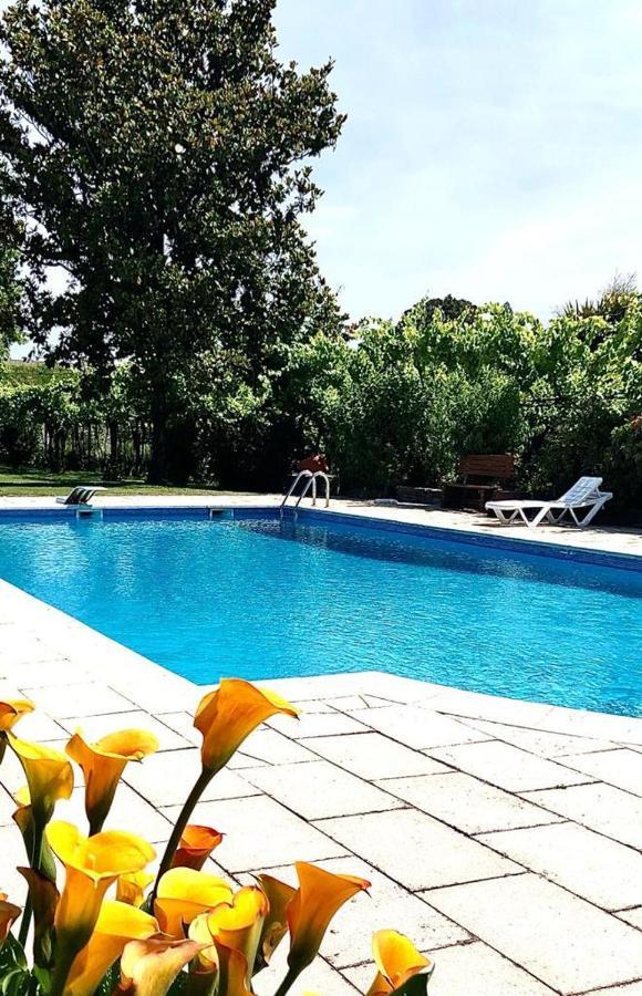 Quinta de Maderne Felgueiras Exterior foto