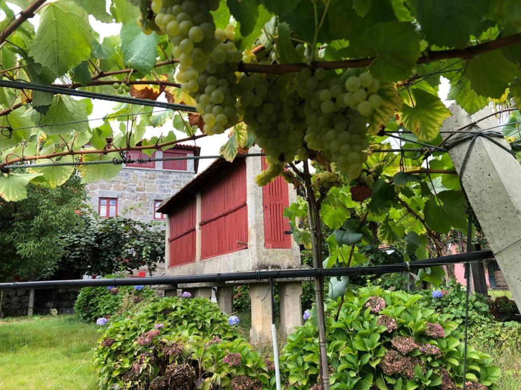 Quinta de Maderne Felgueiras Exterior foto